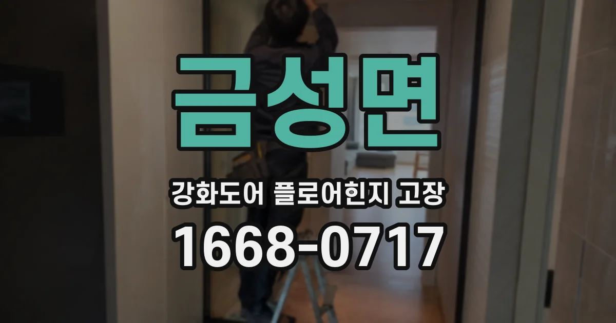 금성면 강화도어 플로어힌지 고장