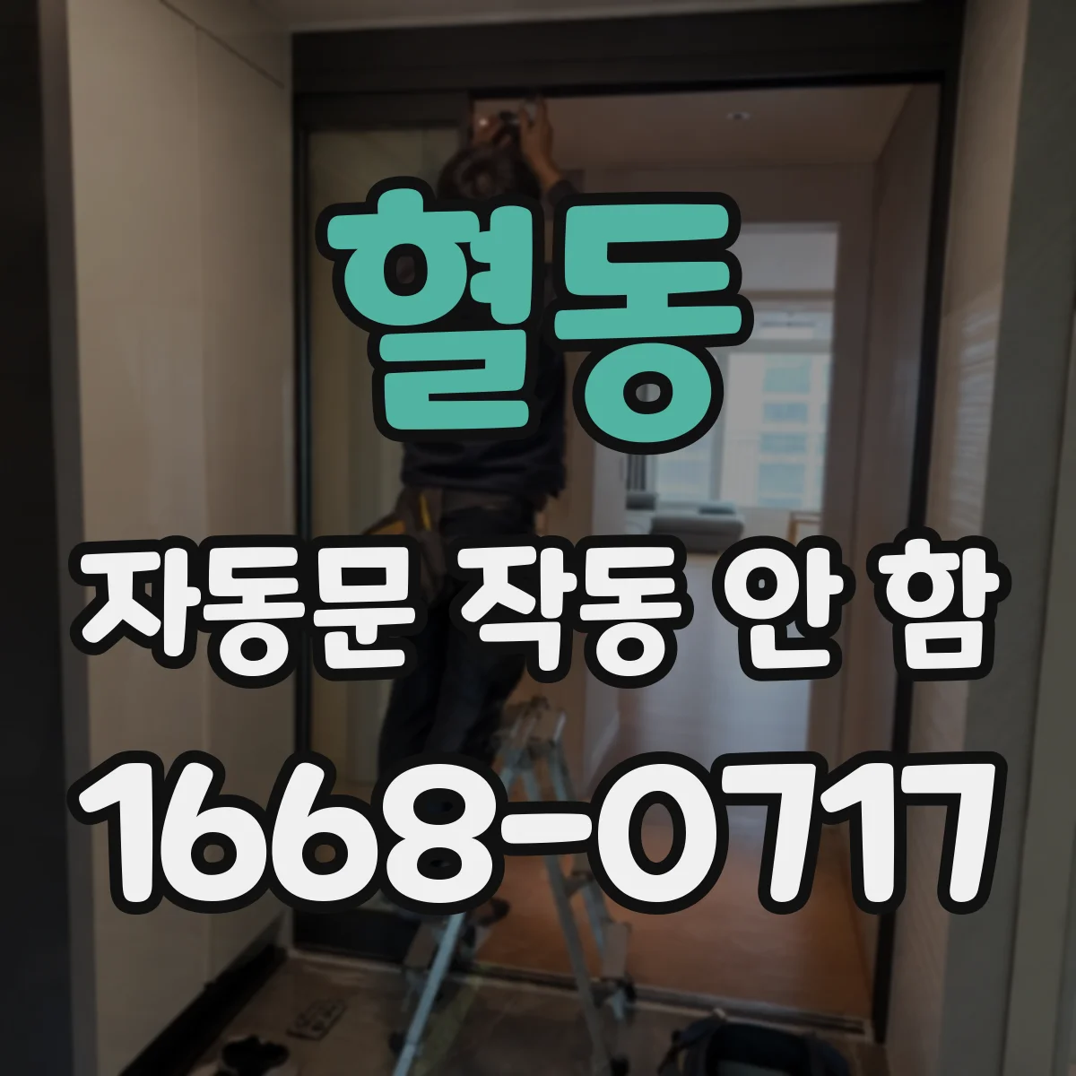 혈동 자동문 작동 안 함