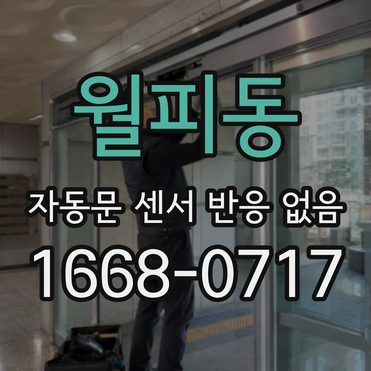 월피동 자동문 센서 반응 없음