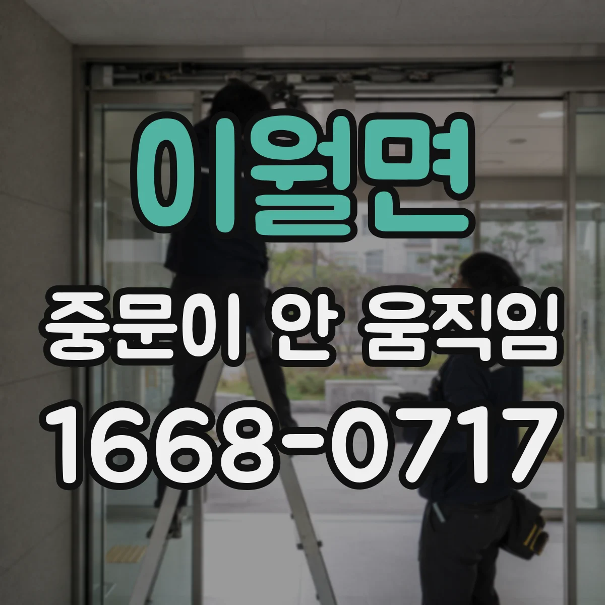 이월면 중문이 안 움직임