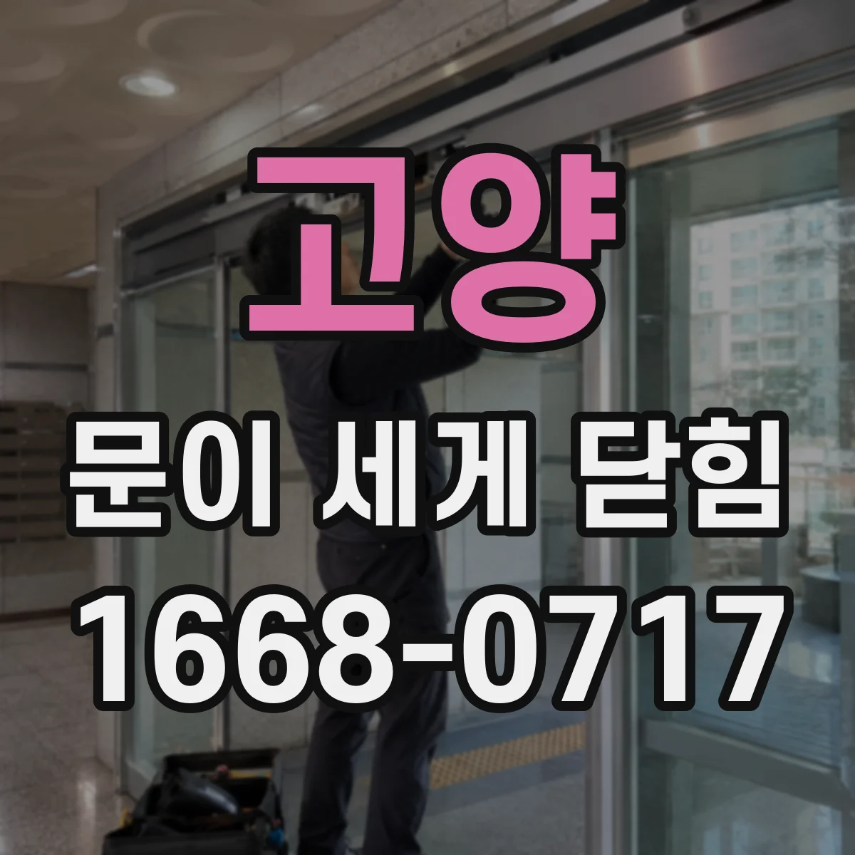 고양 문이 세게 닫힘