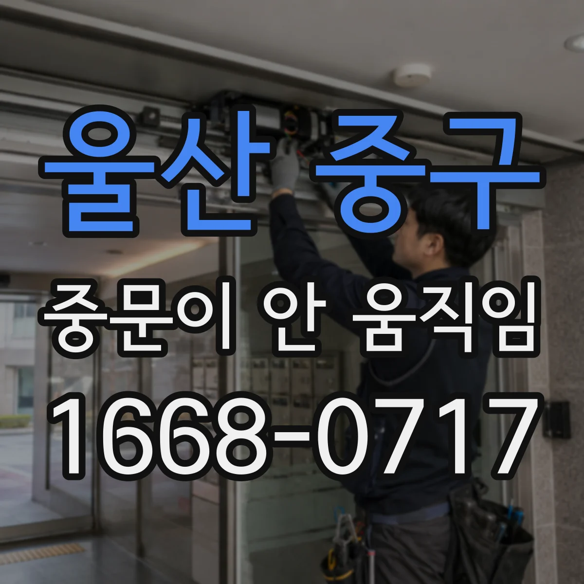 울산 중구 중문이 안 움직임