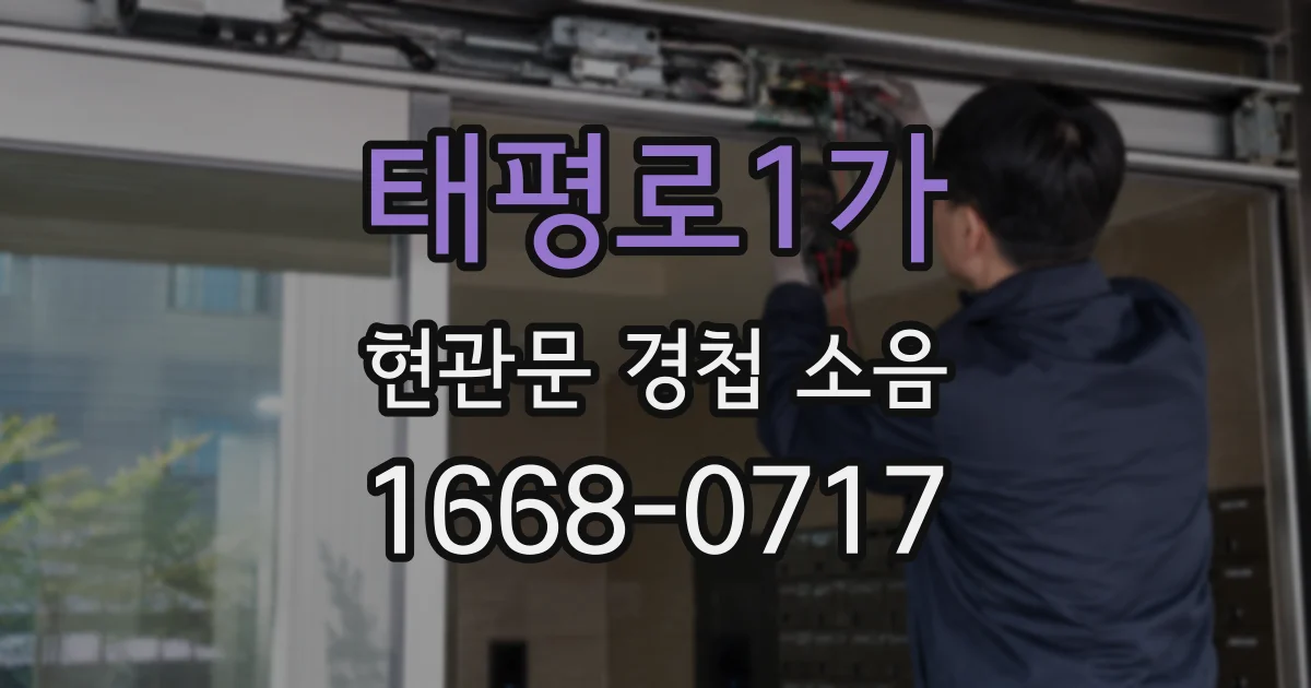 태평로1가 현관문 경첩 소음