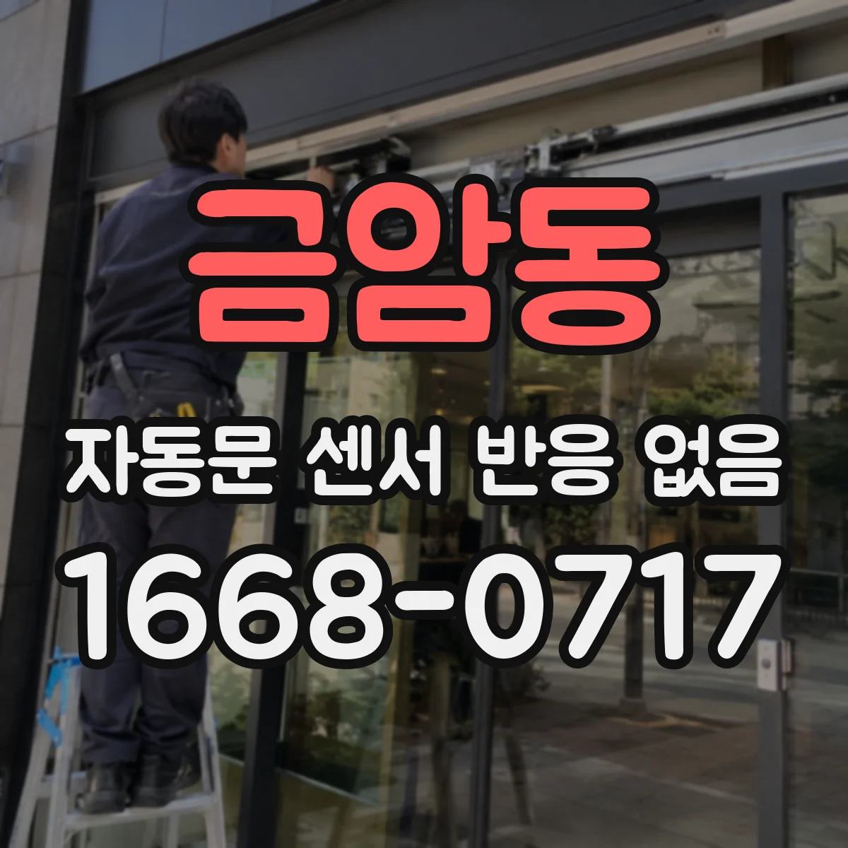 금암동 자동문 센서 반응 없음