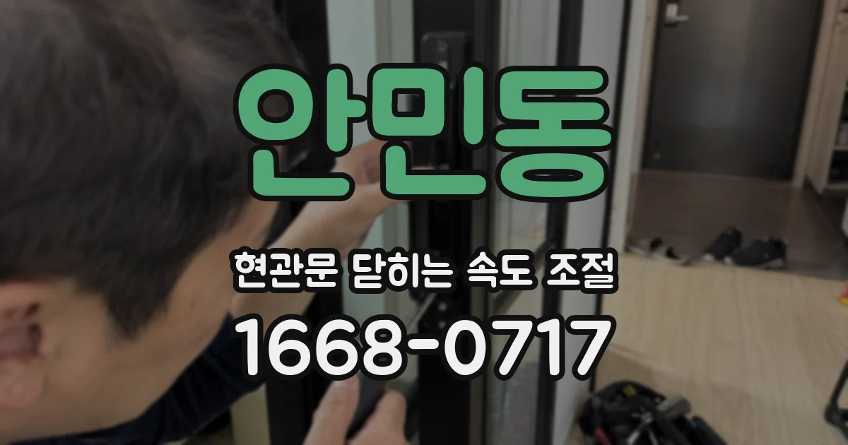 안민동 현관문 닫히는 속도 조절