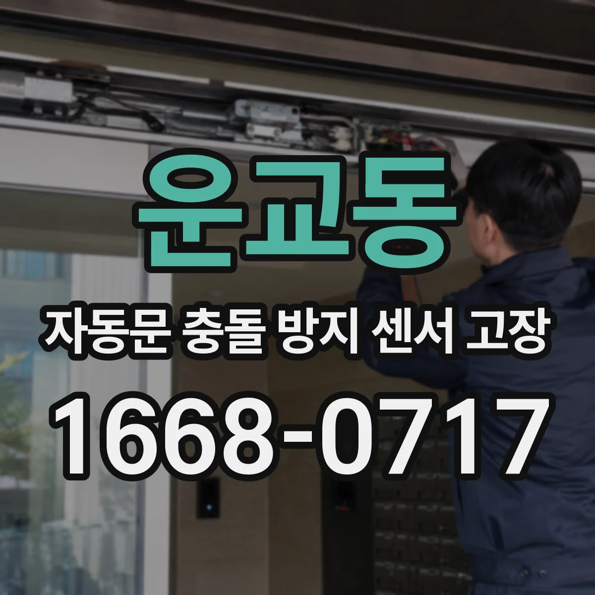 운교동 자동문 충돌 방지 센서 고장