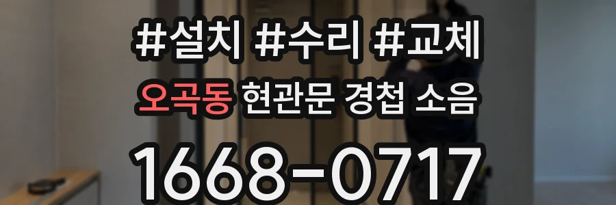 오곡동 현관문 경첩 소음
