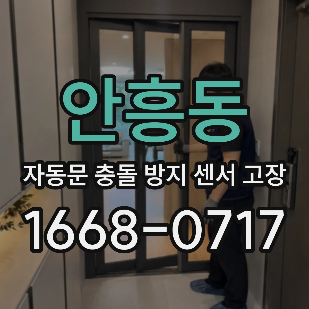 안흥동 자동문 충돌 방지 센서 고장