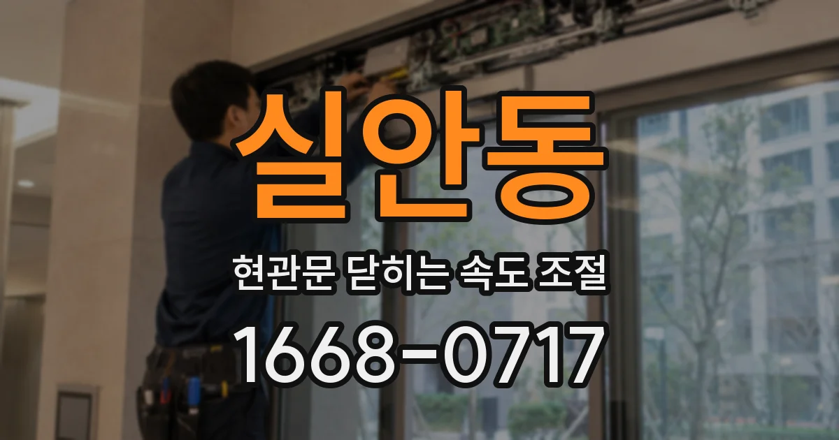 실안동 현관문 닫히는 속도 조절