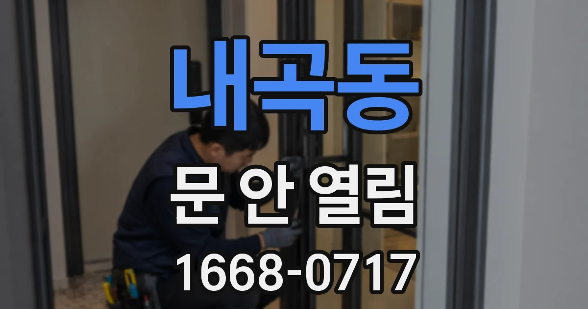 내곡동 문 안 열림