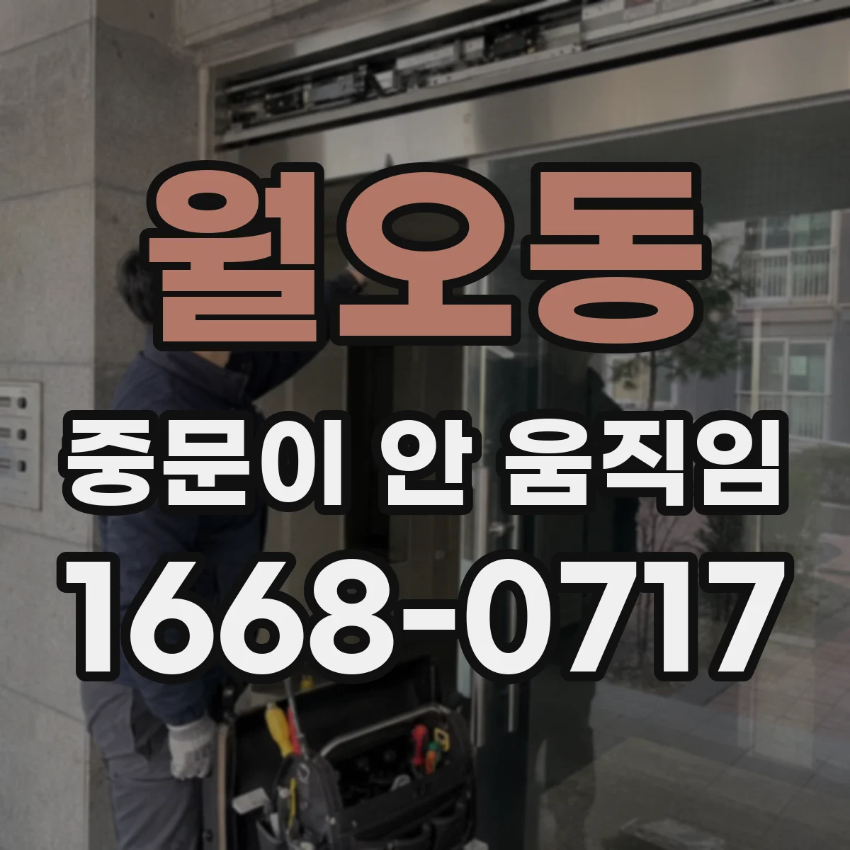 월오동 중문이 안 움직임