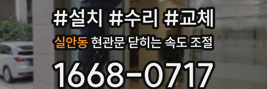 실안동 현관문 닫히는 속도 조절