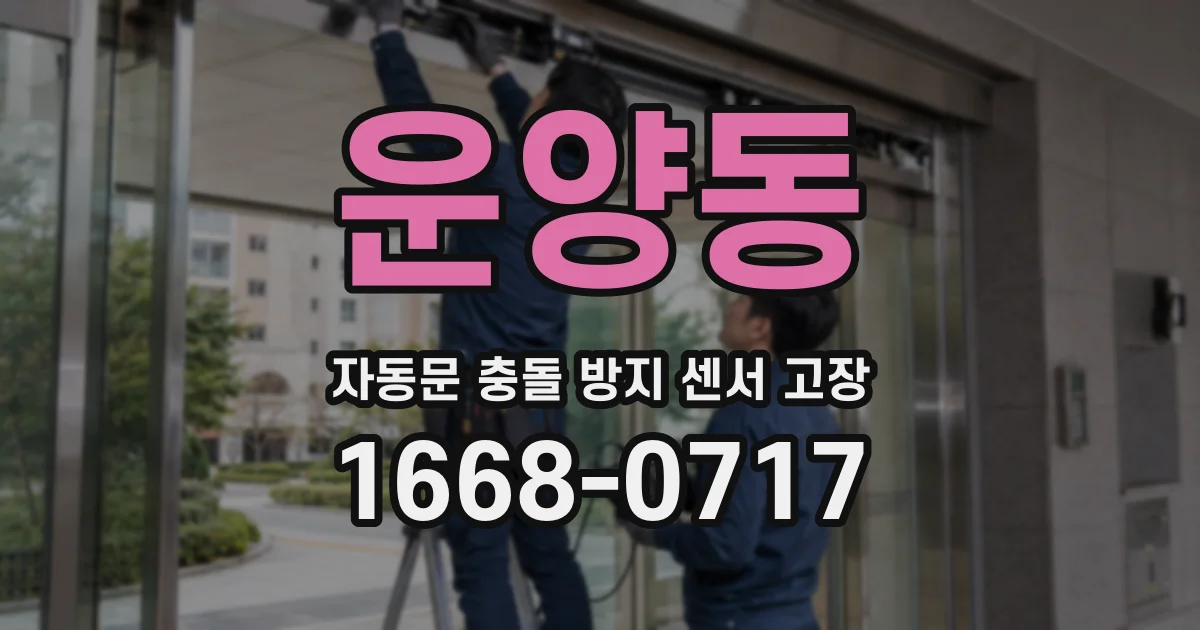 운양동 자동문 충돌 방지 센서 고장