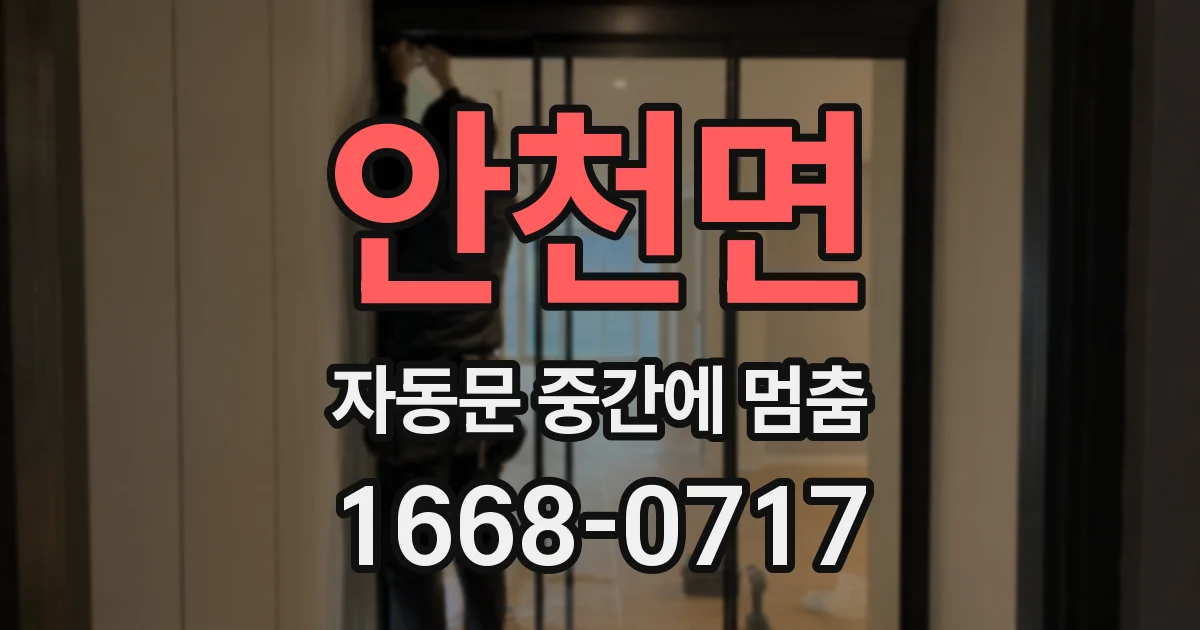 안천면 자동문 중간에 멈춤