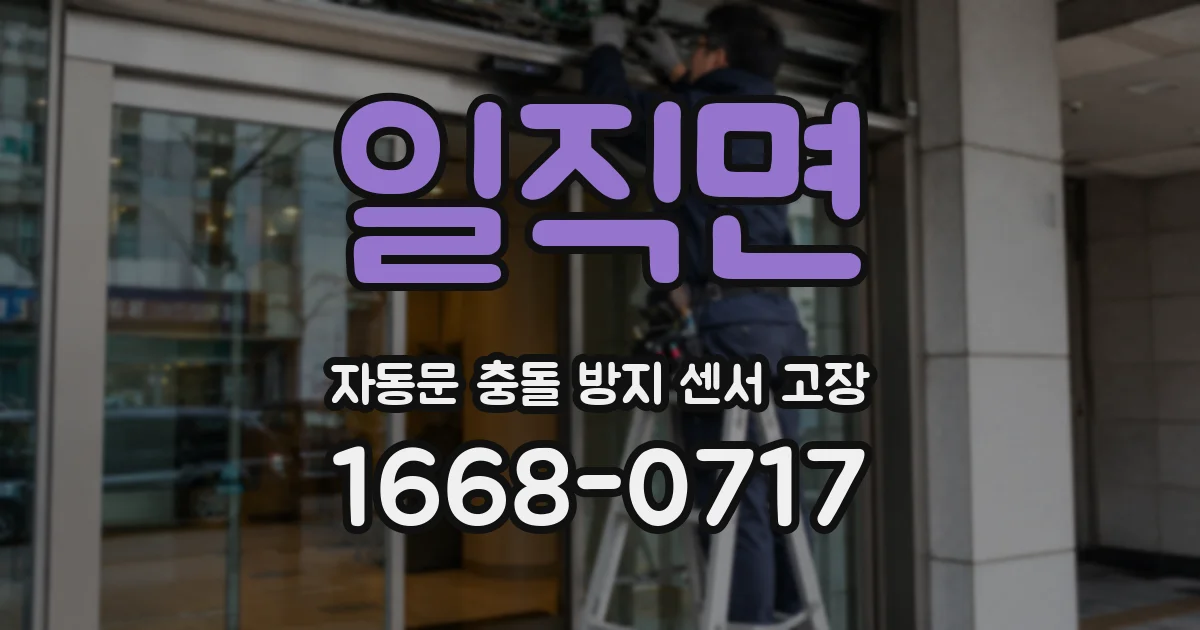 일직면 자동문 충돌 방지 센서 고장
