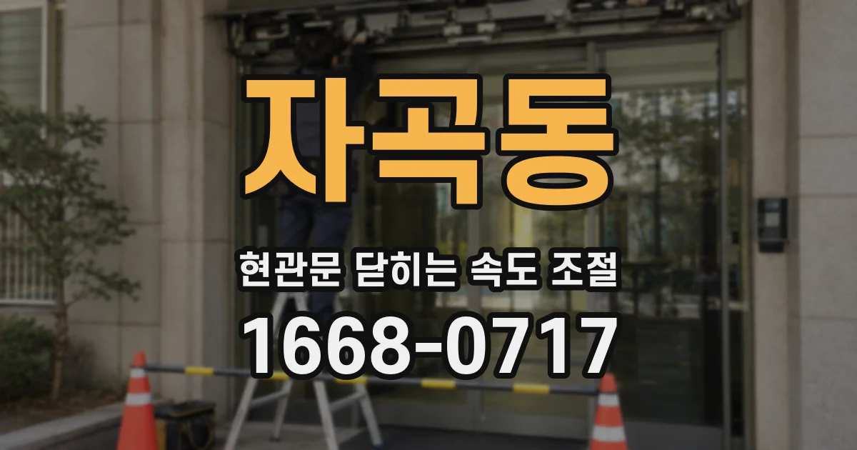 자곡동 현관문 닫히는 속도 조절