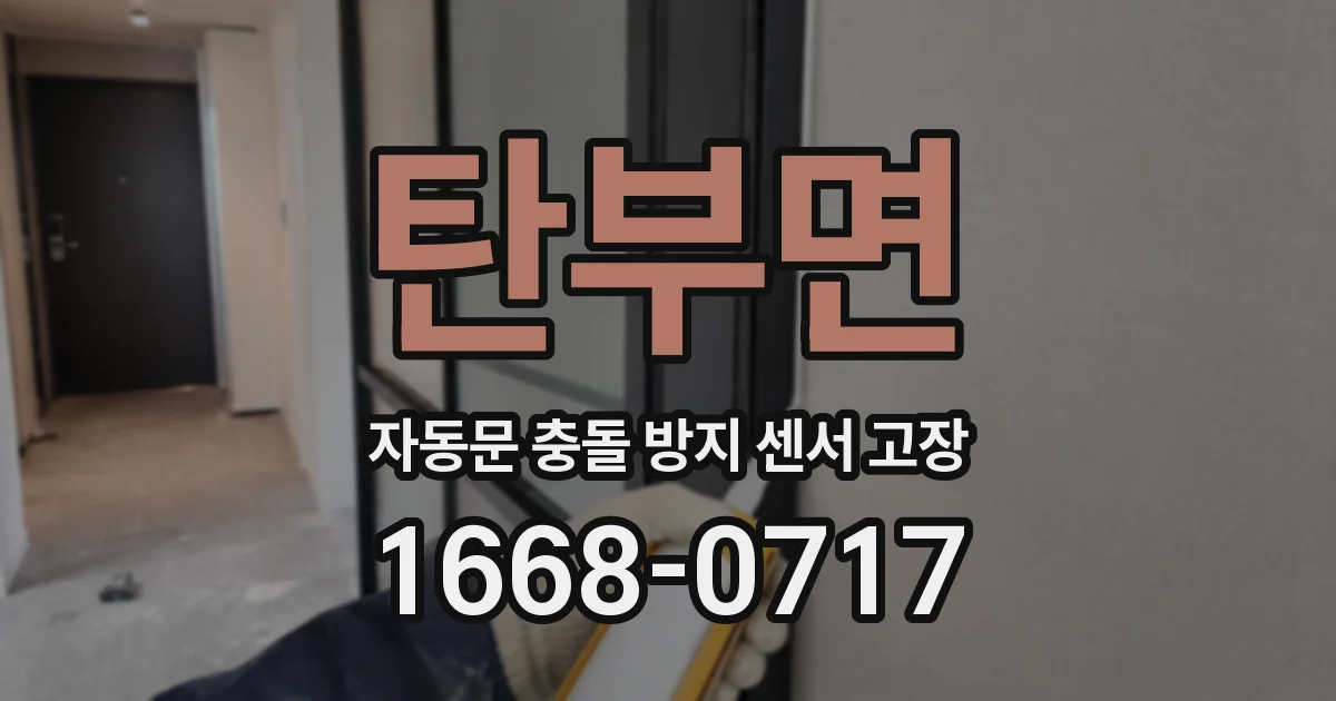 탄부면 자동문 충돌 방지 센서 고장