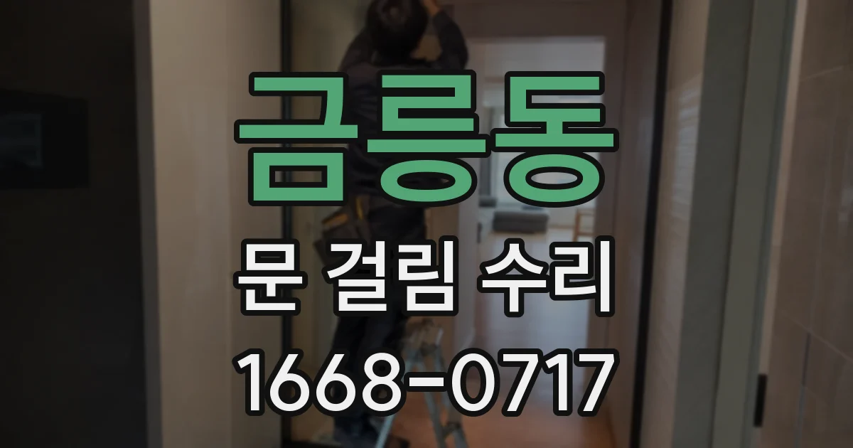 금릉동 문 걸림 수리
