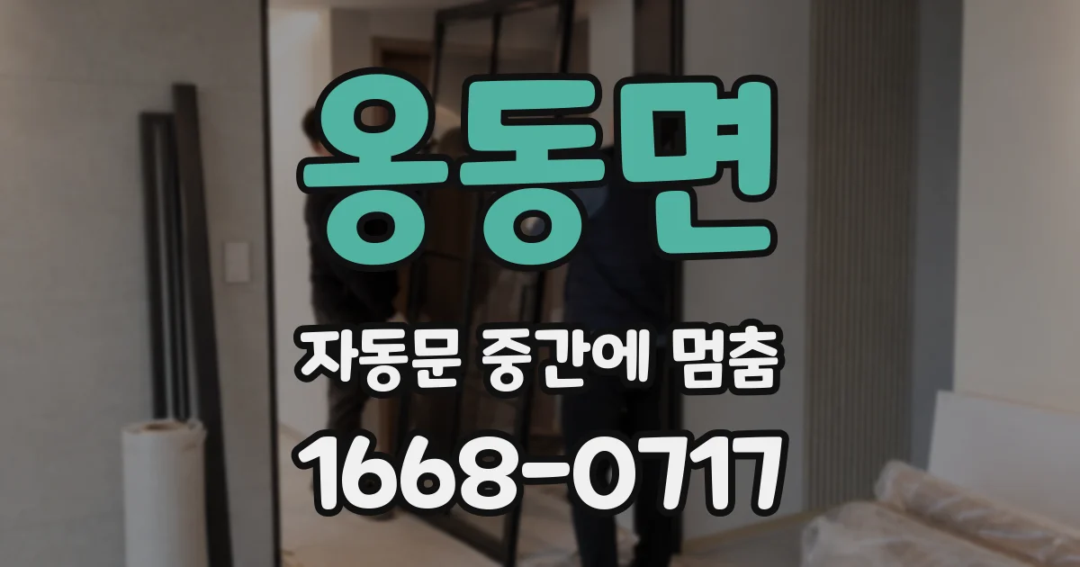 옹동면 자동문 중간에 멈춤