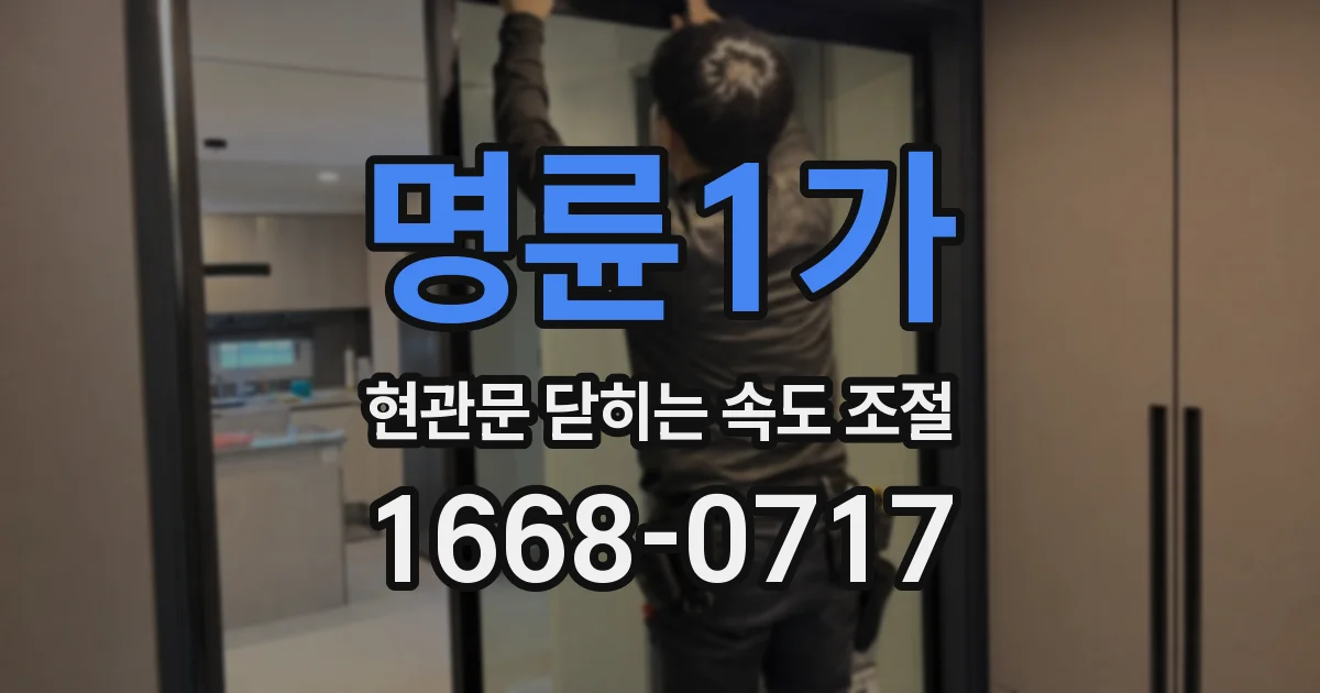 명륜1가 현관문 닫히는 속도 조절