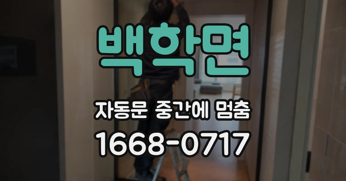 백학면 자동문 중간에 멈춤