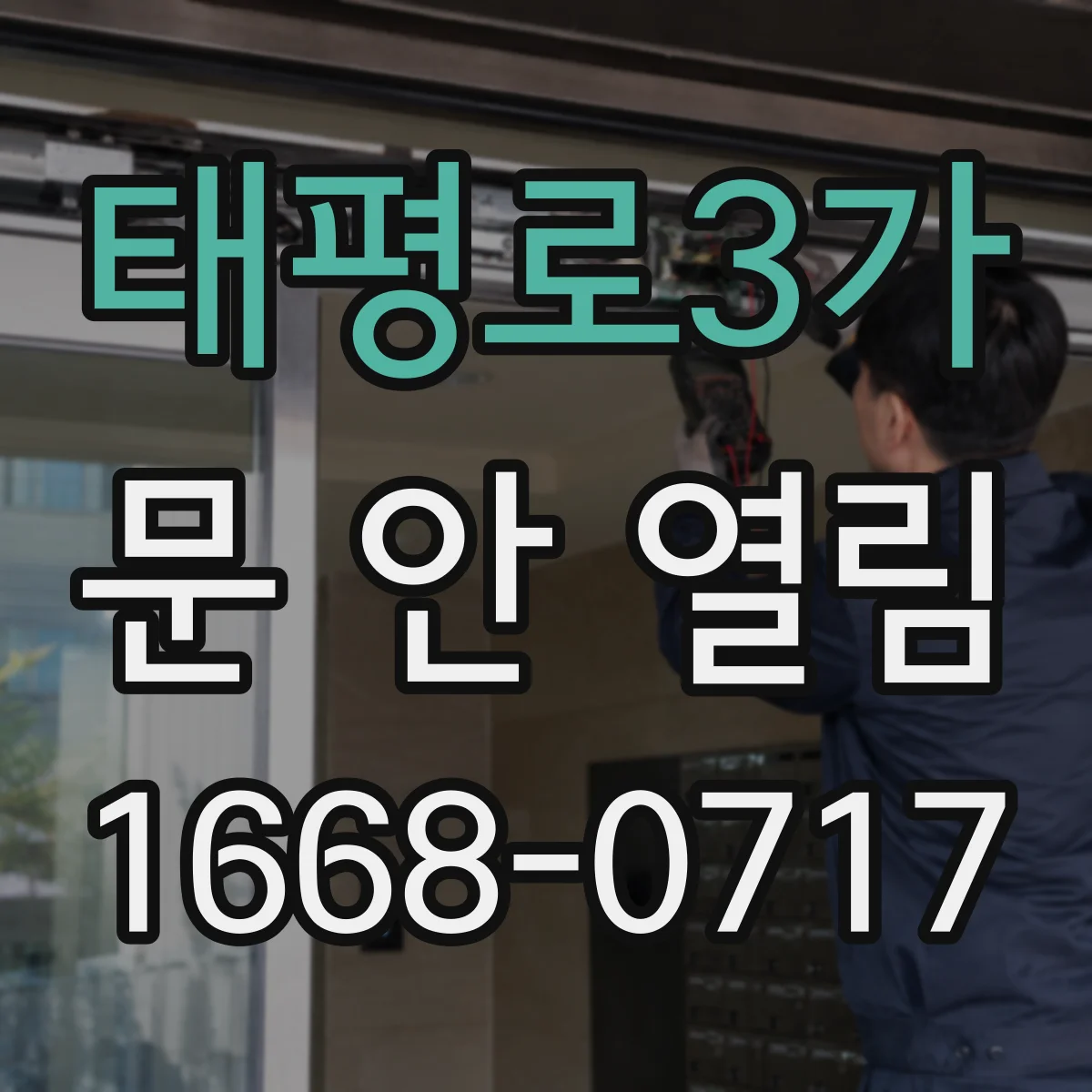 태평로3가 문 안 열림