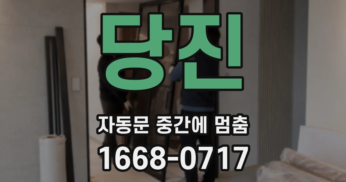 당진 자동문 중간에 멈춤