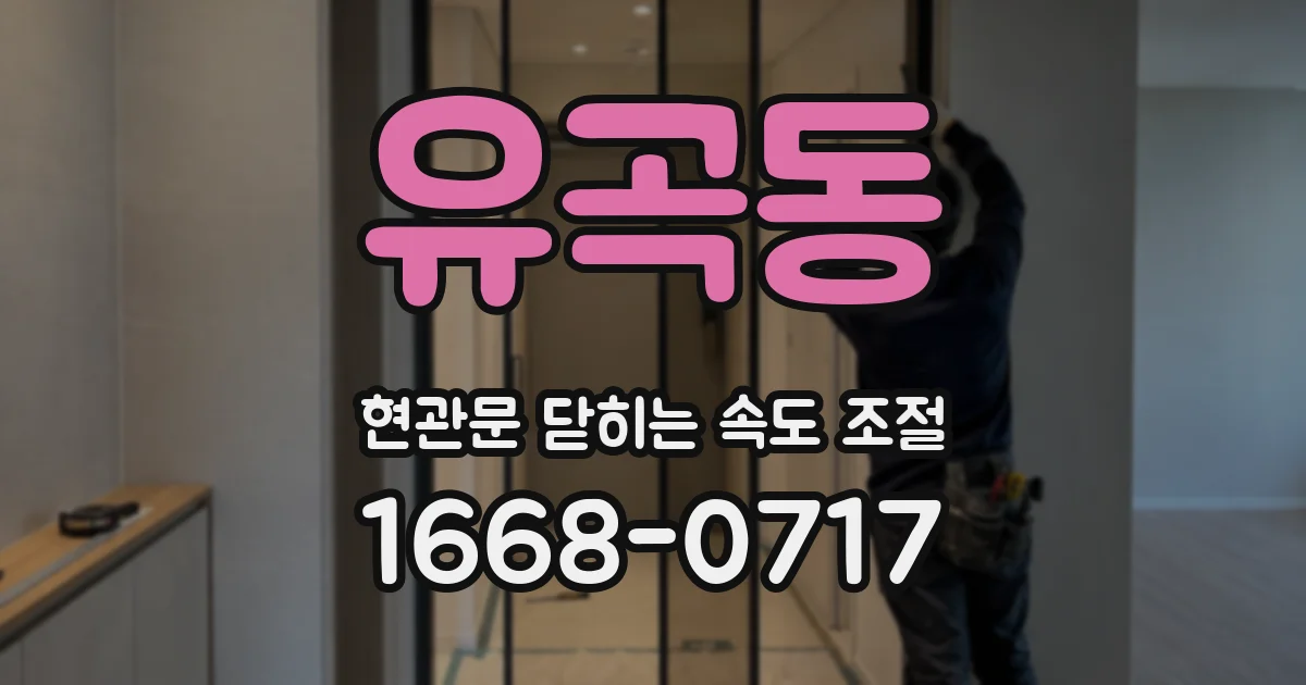 유곡동 현관문 닫히는 속도 조절
