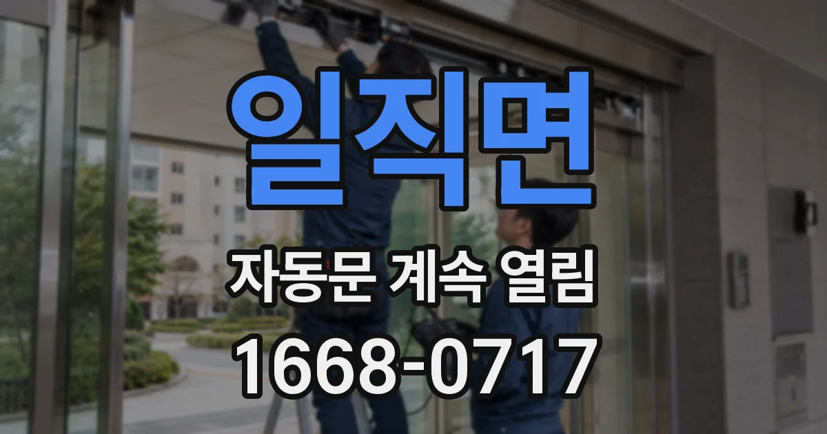 일직면 자동문 계속 열림