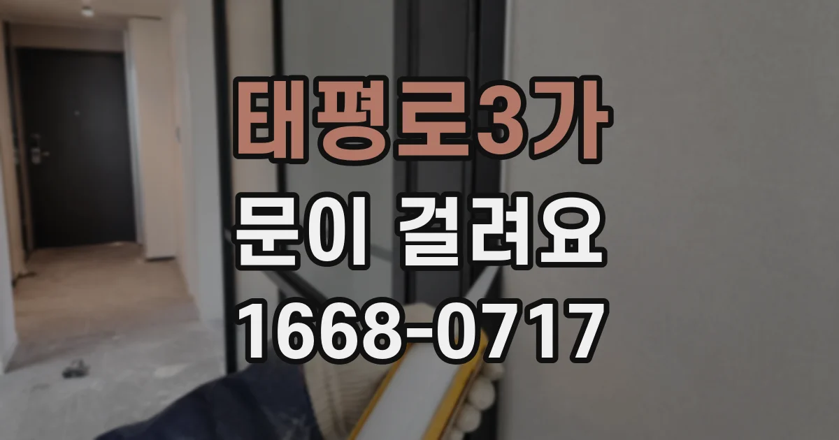 태평로3가 문이 걸려요