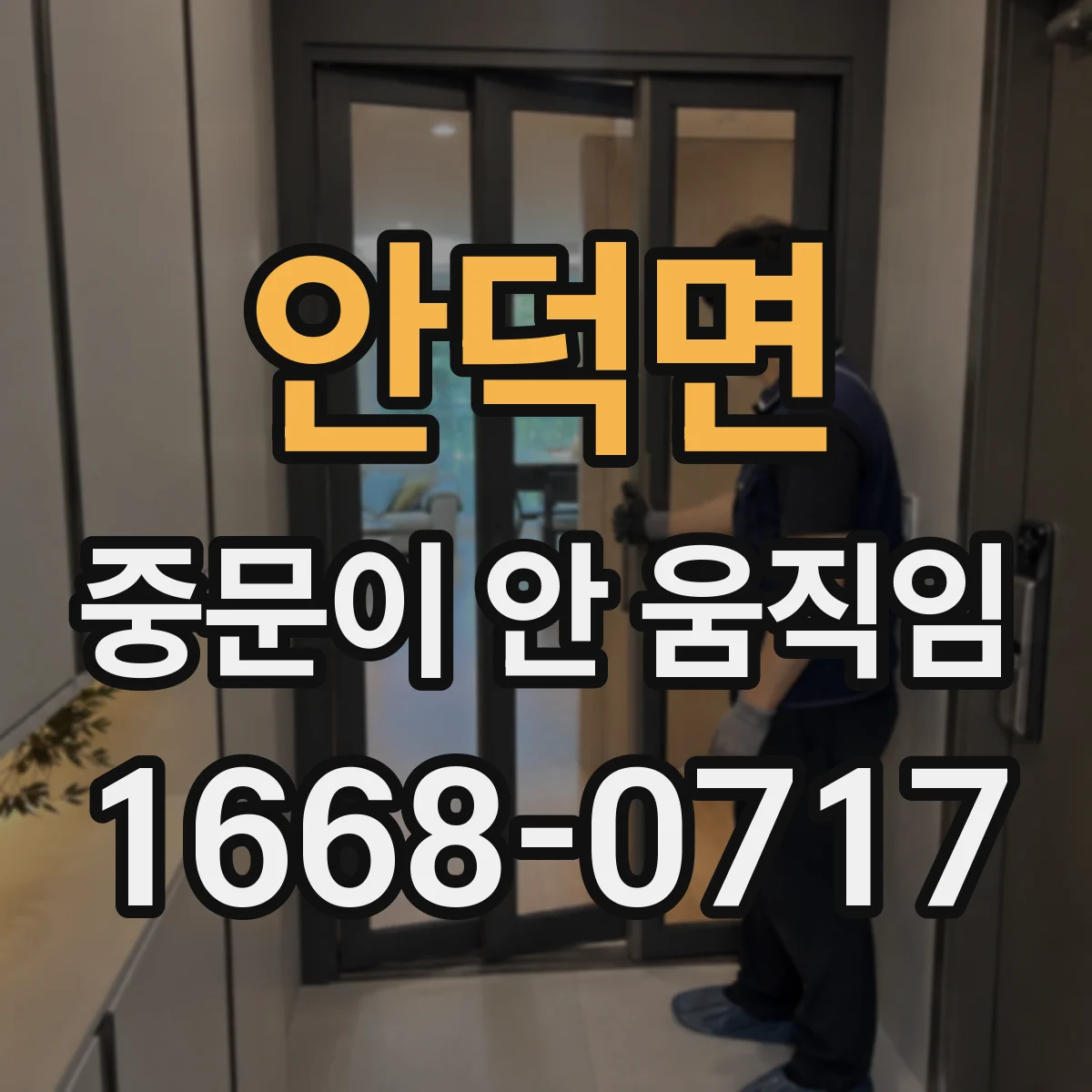 안덕면 중문이 안 움직임