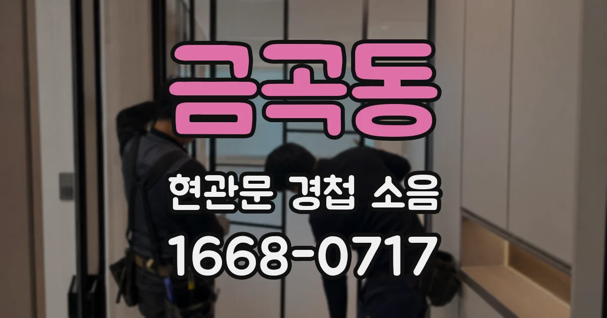 금곡동 현관문 경첩 소음