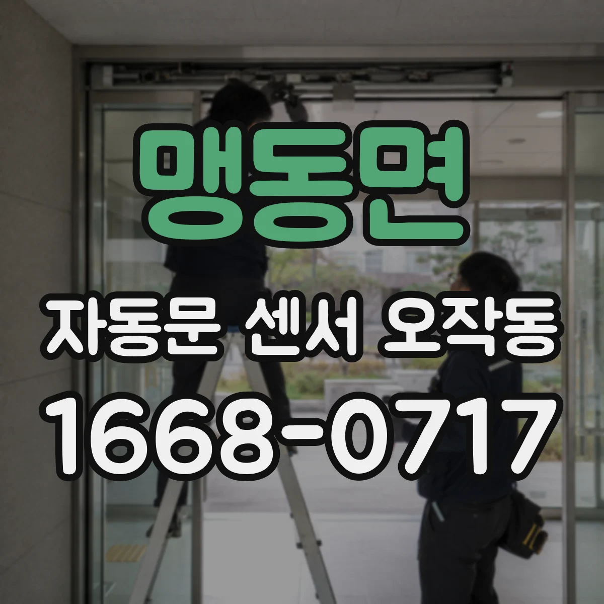 맹동면 자동문 센서 오작동