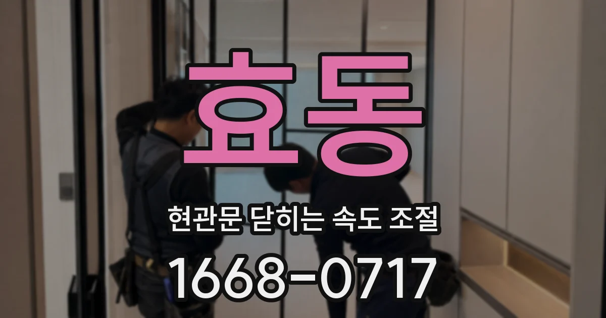 효동 현관문 닫히는 속도 조절