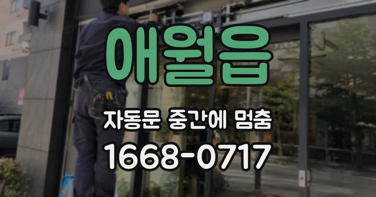 애월읍 자동문 중간에 멈춤