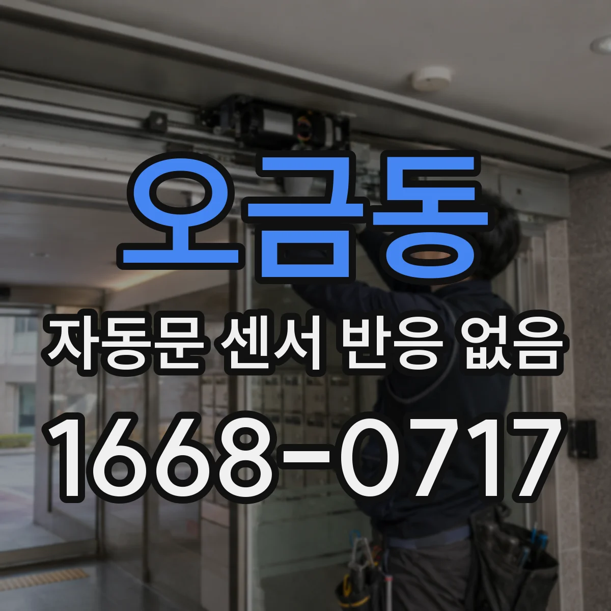 오금동 자동문 센서 반응 없음