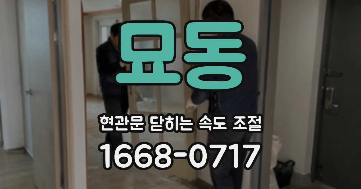묘동 현관문 닫히는 속도 조절