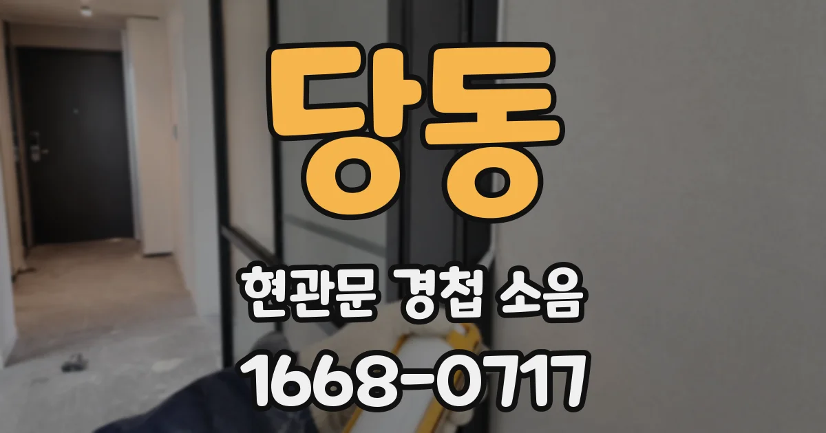 당동 현관문 경첩 소음