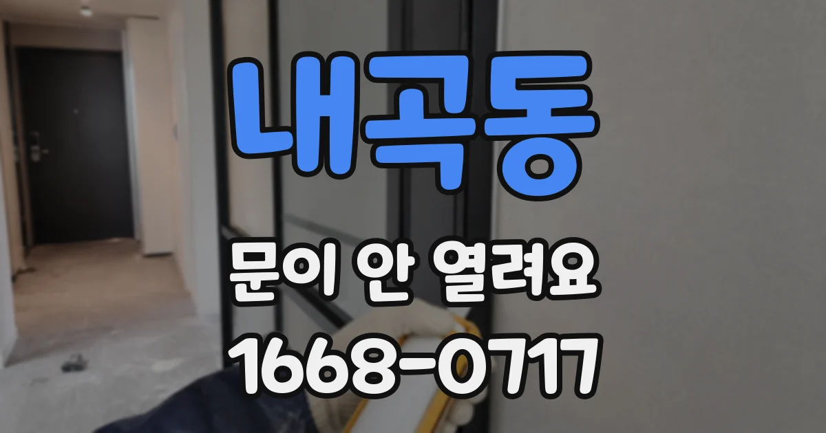내곡동 문이 안 열려요