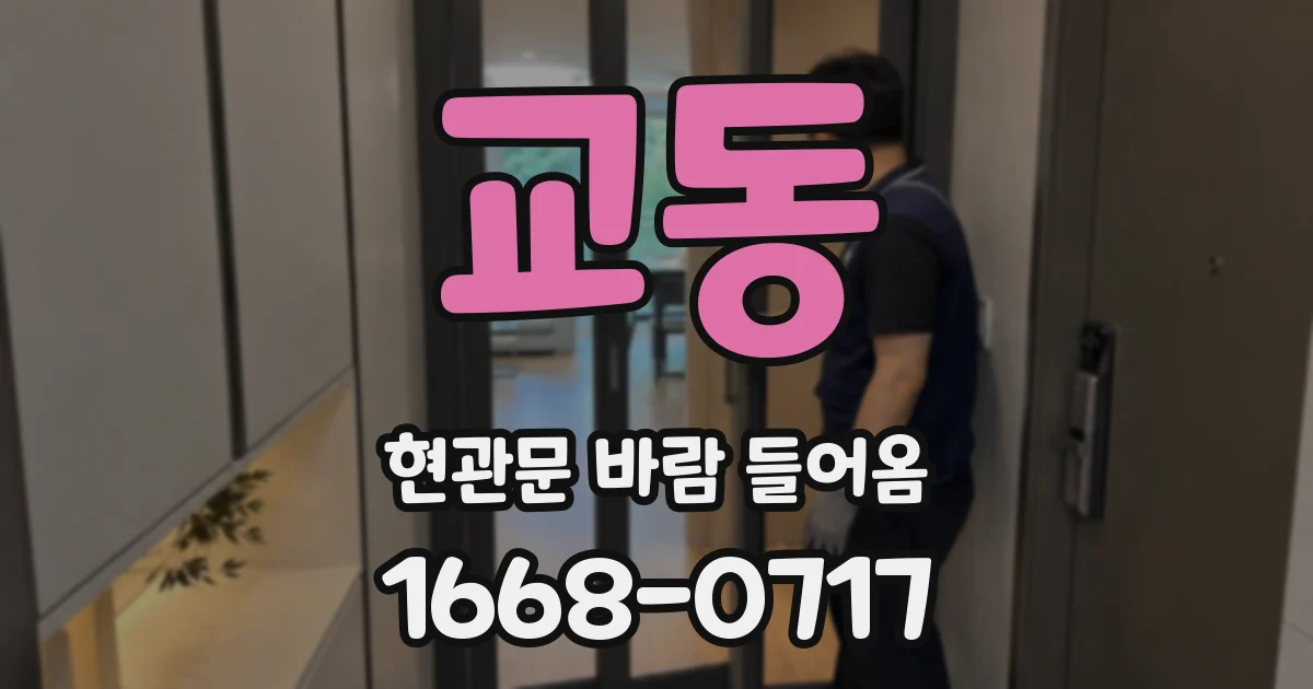 교동 현관문 바람 들어옴