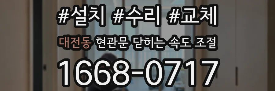 대전동 현관문 닫히는 속도 조절
