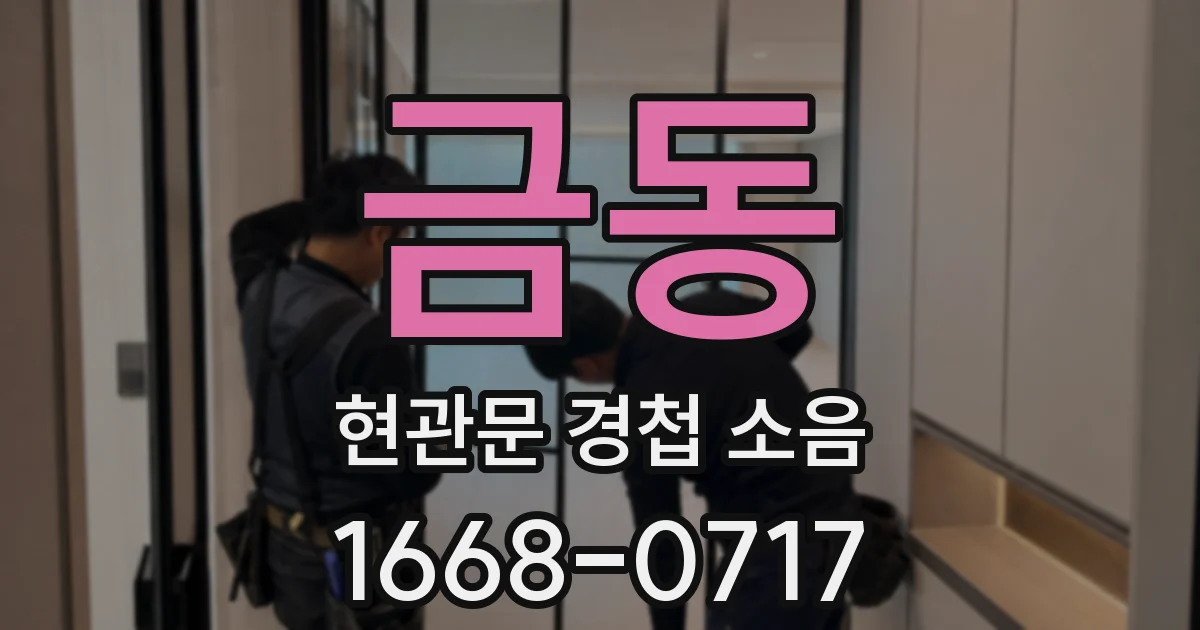 금동 현관문 경첩 소음