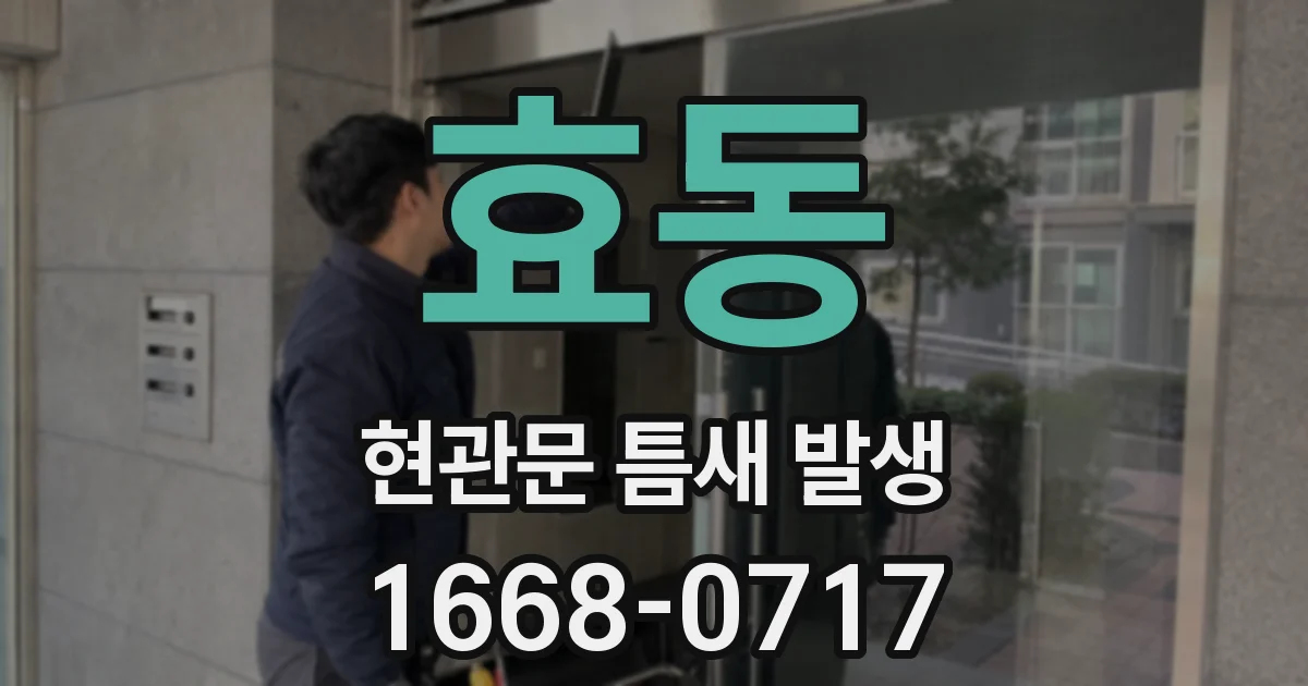 효동 현관문 틈새 발생