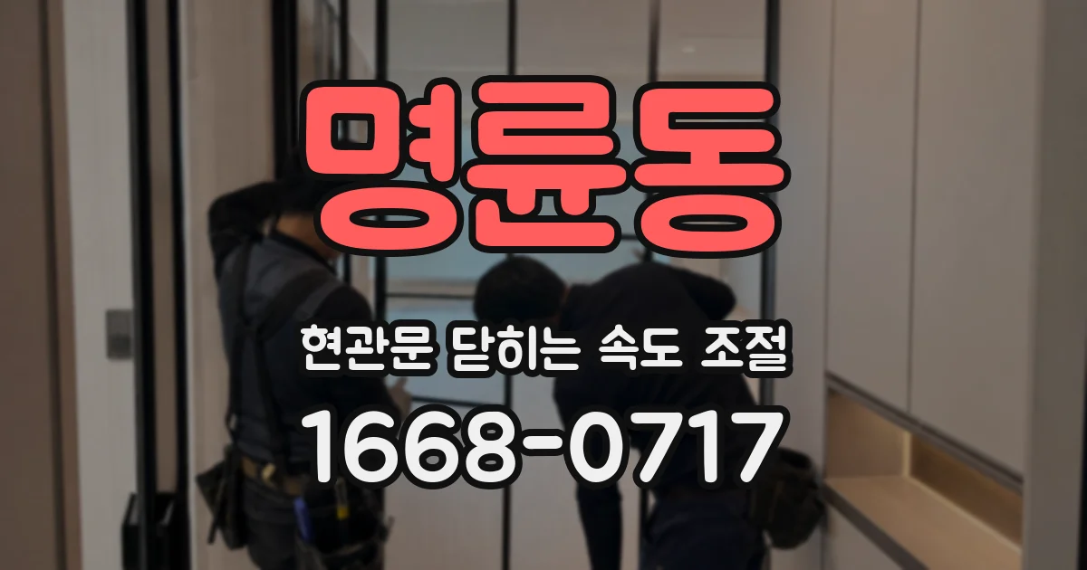 명륜동 현관문 닫히는 속도 조절