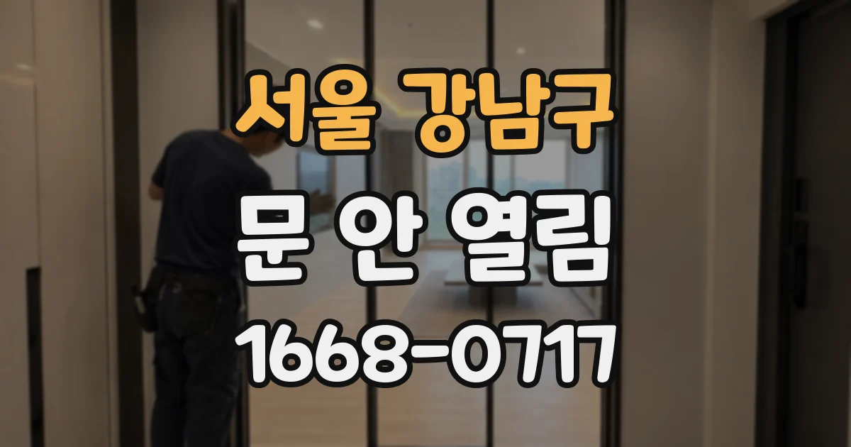 서울 강남구 문 안 열림
