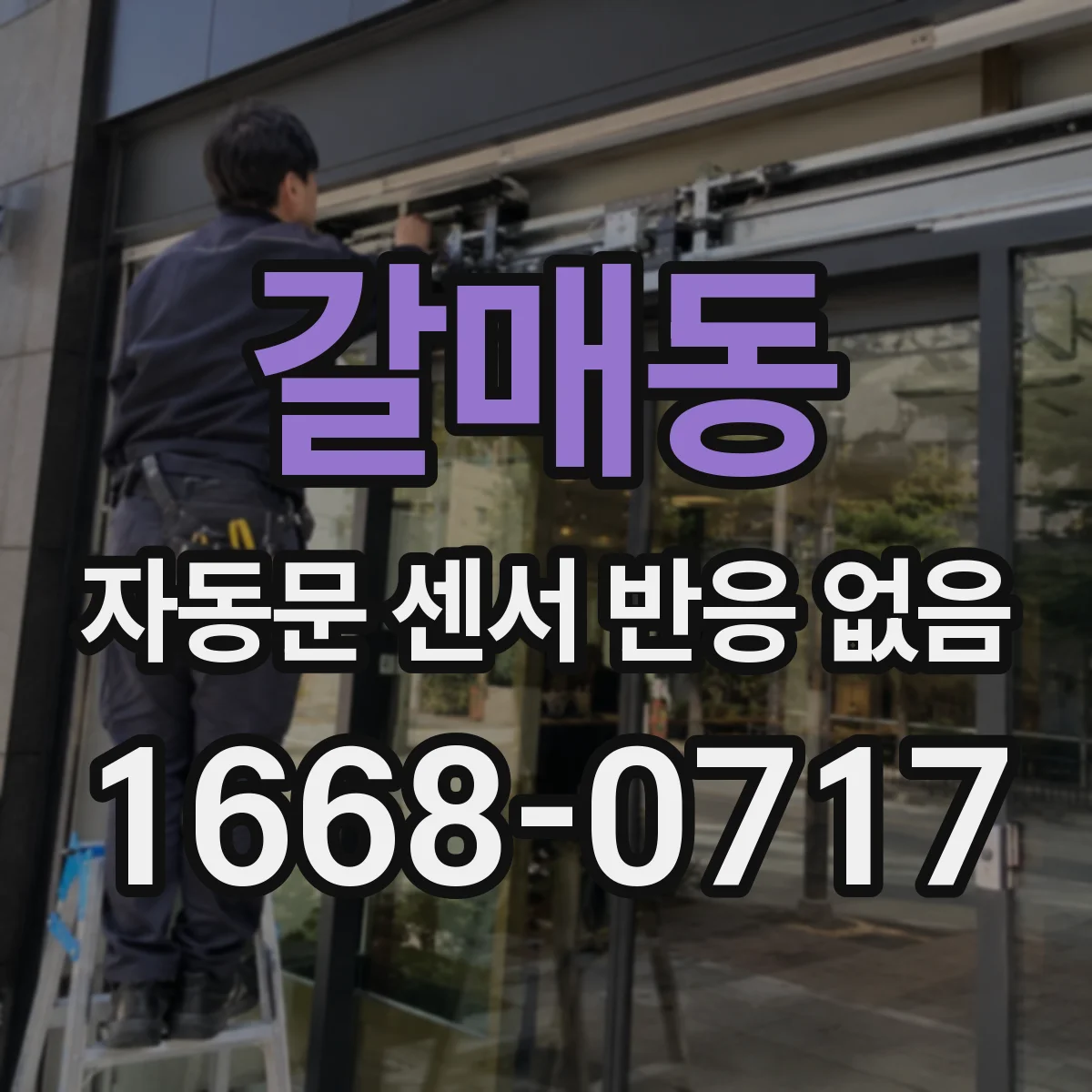 갈매동 자동문 센서 반응 없음