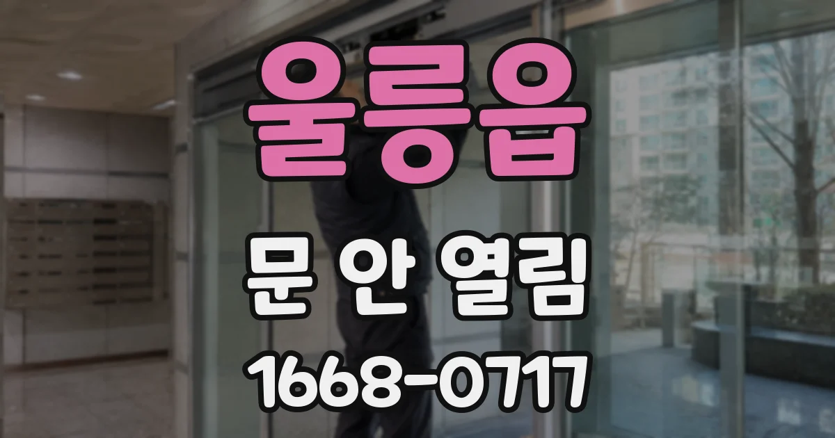 울릉읍 문 안 열림