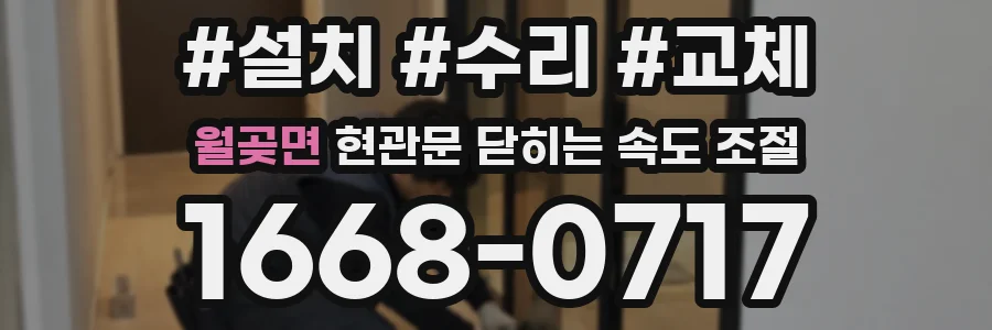 월곶면 현관문 닫히는 속도 조절