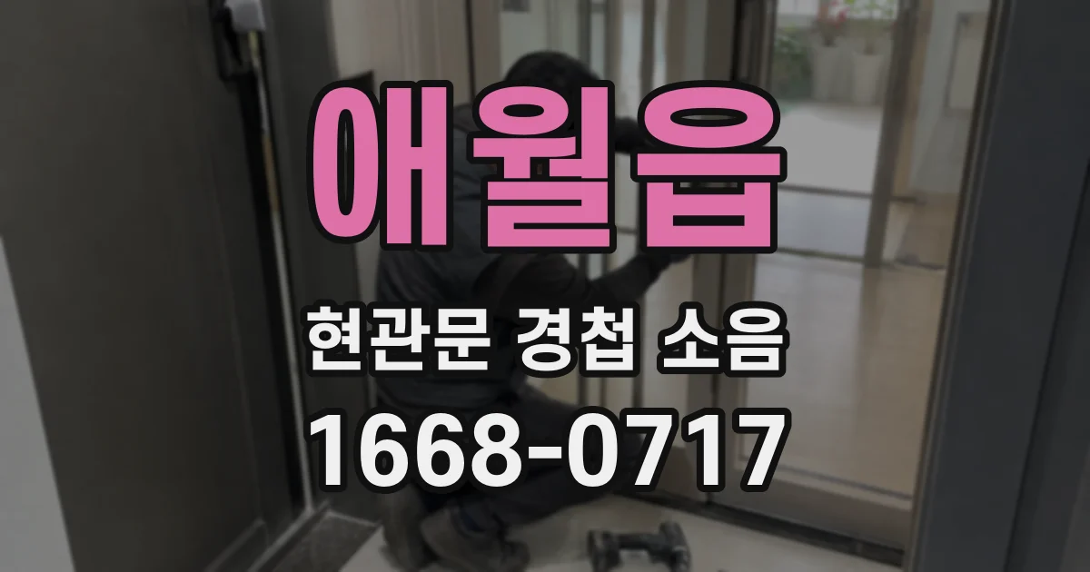 애월읍 현관문 경첩 소음
