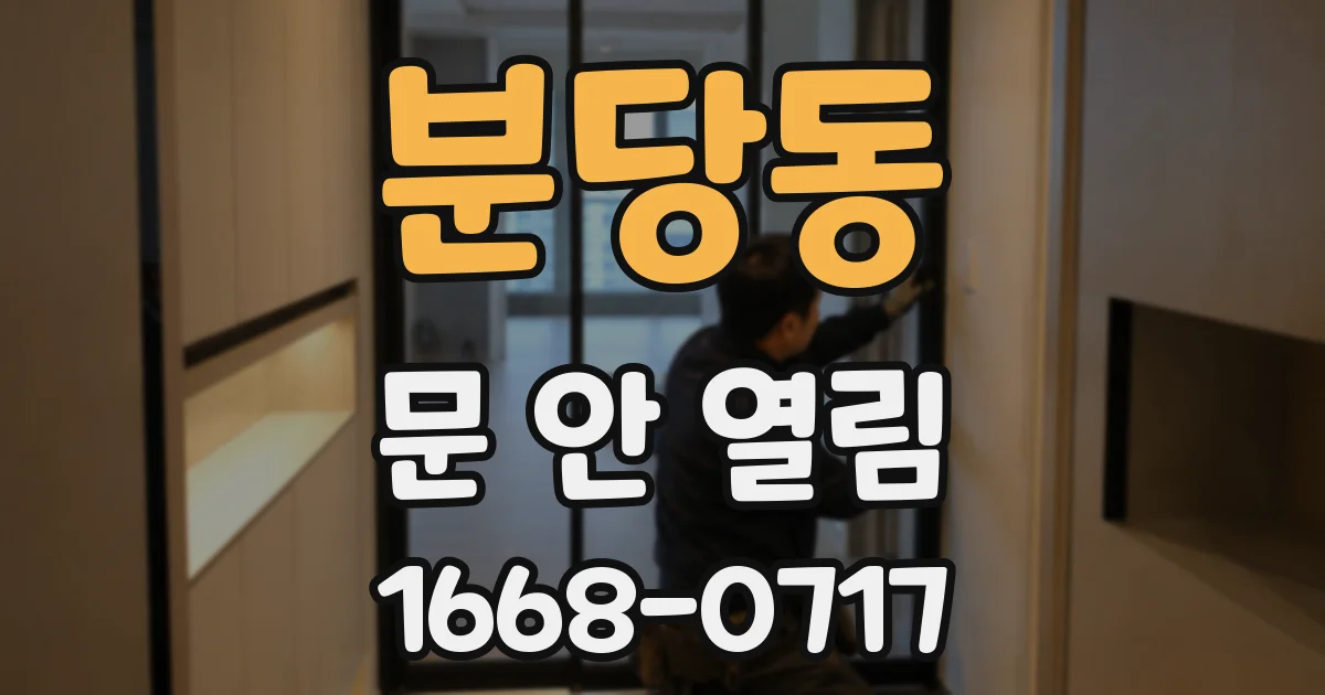 분당동 문 안 열림